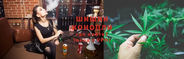 крисы Арсеньев