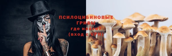 прущий лед Армянск