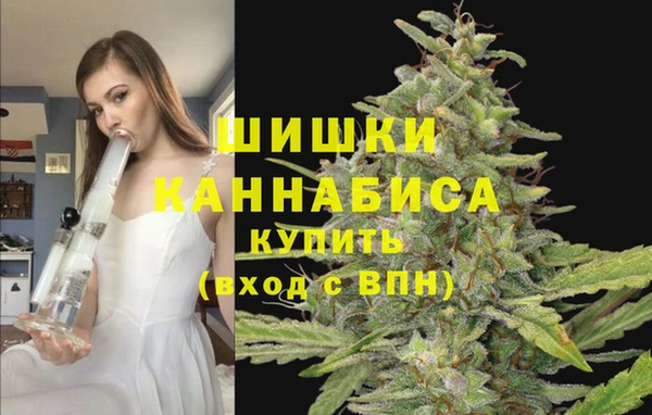 соль ск Аркадак
