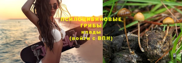 соль ск Аркадак