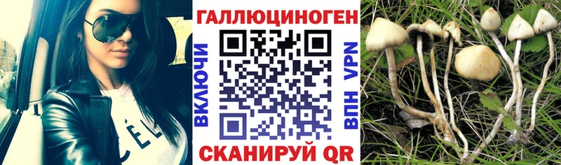 магазин продажи наркотиков Асбест Псилоцибиновые грибы мухоморы